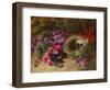 A Bird's Nest and Geraniums-Oliver Clare-Framed Giclee Print