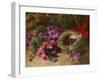 A Bird's Nest and Geraniums-Oliver Clare-Framed Giclee Print