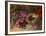 A Bird's Nest and Geraniums-Oliver Clare-Framed Giclee Print