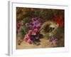 A Bird's Nest and Geraniums-Oliver Clare-Framed Giclee Print