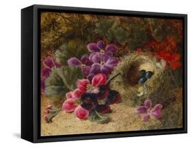 A Bird's Nest and Geraniums-Oliver Clare-Framed Stretched Canvas