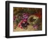 A Bird's Nest and Geraniums-Oliver Clare-Framed Giclee Print