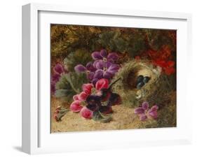 A Bird's Nest and Geraniums-Oliver Clare-Framed Giclee Print