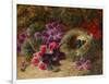 A Bird's Nest and Geraniums-Oliver Clare-Framed Giclee Print