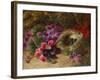 A Bird's Nest and Geraniums-Oliver Clare-Framed Giclee Print