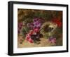 A Bird's Nest and Geraniums-Oliver Clare-Framed Giclee Print