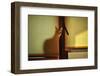 A Bit of Maya-Knartist-Framed Photographic Print