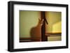 A Bit of Maya-Knartist-Framed Photographic Print