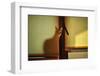 A Bit of Maya-Knartist-Framed Photographic Print