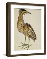 A Bittern-Christopher Atkinson-Framed Giclee Print