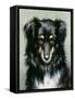 A Black and Tan Collie, 1890-Robert Morley-Framed Stretched Canvas