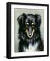 A Black and Tan Collie, 1890-Robert Morley-Framed Giclee Print