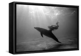 A Black and White Image of a Bottlenose Dolphin and Snorkeller Interacting Contre-Jour-Paul Springett-Framed Stretched Canvas