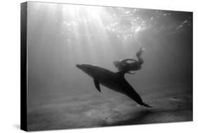 A Black and White Image of a Bottlenose Dolphin and Snorkeller Interacting Contre-Jour-Paul Springett-Stretched Canvas