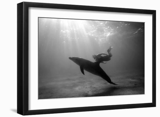 A Black and White Image of a Bottlenose Dolphin and Snorkeller Interacting Contre-Jour-Paul Springett-Framed Photographic Print