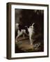 A Black and White Springer Spaniel with a Dead Partridge in a Landscape-John Wootton-Framed Giclee Print