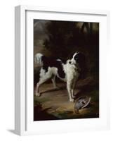 A Black and White Springer Spaniel with a Dead Partridge in a Landscape-John Wootton-Framed Giclee Print