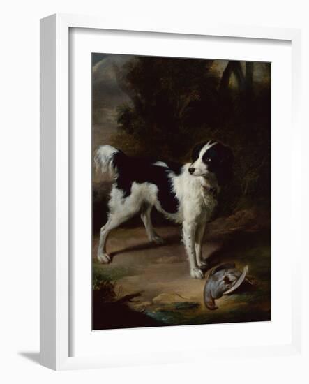 A Black and White Springer Spaniel with a Dead Partridge in a Landscape-John Wootton-Framed Giclee Print