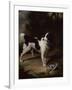 A Black and White Springer Spaniel with a Dead Partridge in a Landscape-John Wootton-Framed Giclee Print