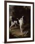 A Black and White Springer Spaniel with a Dead Partridge in a Landscape-John Wootton-Framed Giclee Print