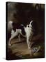 A Black and White Springer Spaniel with a Dead Partridge in a Landscape-John Wootton-Stretched Canvas