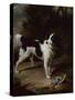 A Black and White Springer Spaniel with a Dead Partridge in a Landscape-John Wootton-Stretched Canvas