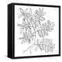 A Black and White Tree-Jan Weiss-Framed Stretched Canvas