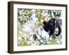 A Black Capuchin Monkey Feeding in a Tree in Sao Francisco Xavier in Sao Paulo State, Brazil-Alex Saberi-Framed Photographic Print