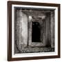 A Black Cat Inside a Window-Luis Beltran-Framed Photographic Print