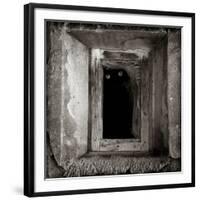 A Black Cat Inside a Window-Luis Beltran-Framed Photographic Print