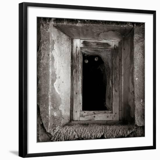 A Black Cat Inside a Window-Luis Beltran-Framed Photographic Print