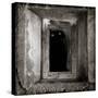 A Black Cat Inside a Window-Luis Beltran-Stretched Canvas