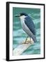 A Black-Crowned Night Heron Fishing, Lei Yu Mai Village, Hong Kong-Richard Wright-Framed Photographic Print