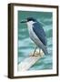 A Black-Crowned Night Heron Fishing, Lei Yu Mai Village, Hong Kong-Richard Wright-Framed Photographic Print