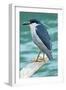 A Black-Crowned Night Heron Fishing, Lei Yu Mai Village, Hong Kong-Richard Wright-Framed Photographic Print