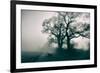 A Black Dog in a Field-Tim Kahane-Framed Photographic Print