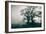 A Black Dog in a Field-Tim Kahane-Framed Photographic Print