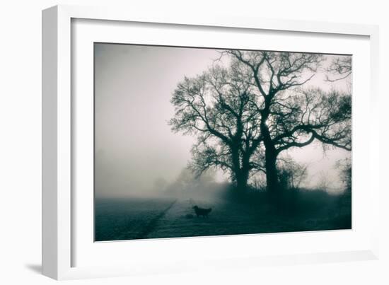 A Black Dog in a Field-Tim Kahane-Framed Photographic Print