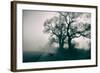 A Black Dog in a Field-Tim Kahane-Framed Photographic Print