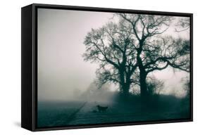 A Black Dog in a Field-Tim Kahane-Framed Stretched Canvas