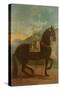 A Black Horse Sporting a Spanish Saddle-Johann Georg Hamilton-Stretched Canvas