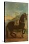 A Black Horse Sporting a Spanish Saddle-Johann Georg Hamilton-Stretched Canvas