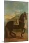 A Black Horse Sporting a Spanish Saddle-Johann Georg Hamilton-Mounted Giclee Print