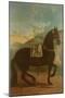 A Black Horse Sporting a Spanish Saddle-Johann Georg Hamilton-Mounted Giclee Print