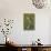 A Black-Necked Stilt and its Reflection in a Southern California Wetland-Neil Losin-Photographic Print displayed on a wall