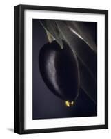 A Black Olive on a Toothpick, Olive Oil-Jo Van Den Berg-Framed Photographic Print