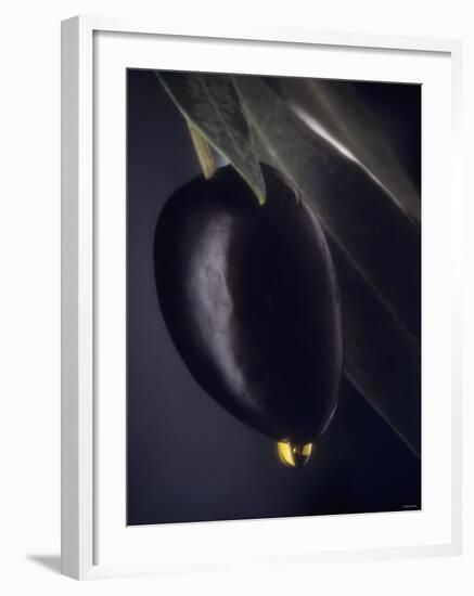 A Black Olive on a Toothpick, Olive Oil-Jo Van Den Berg-Framed Photographic Print