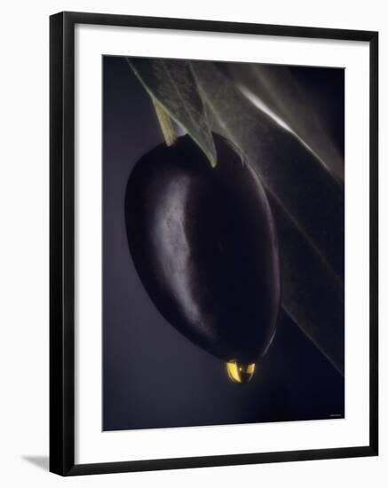A Black Olive on a Toothpick, Olive Oil-Jo Van Den Berg-Framed Photographic Print