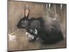 A Black Rabbit (Bodycolour on Linen)-Joseph Crawhall-Mounted Giclee Print