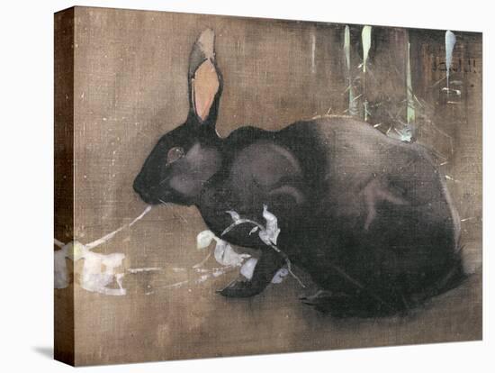 A Black Rabbit (Bodycolour on Linen)-Joseph Crawhall-Stretched Canvas